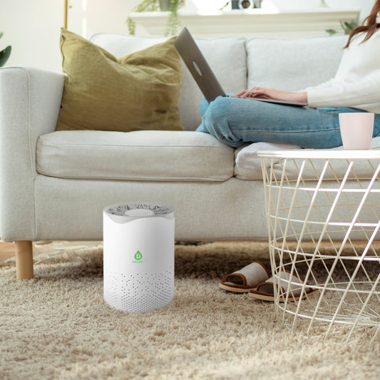 USB Powered True HEPA Air Purifier